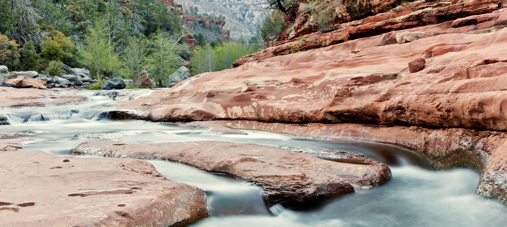 5 Must-See Natural Wonders in Arizona's National Parks