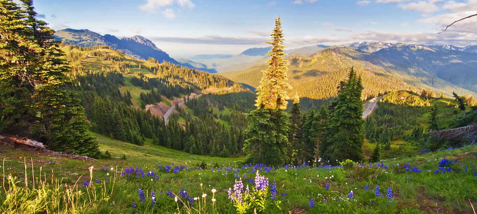 7 Must-See Attractions at Olympic National Park Near Seattle